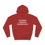 Nammineq aaliangikkamik allagartaligaq tujuuluk nasartalik hoodie